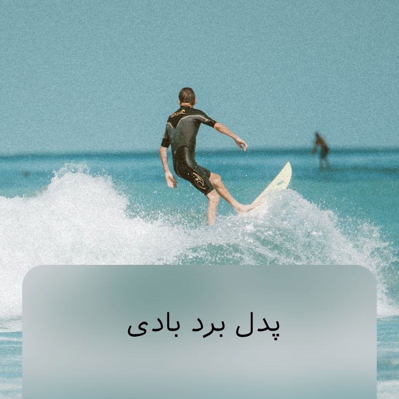 پدل برد بادی